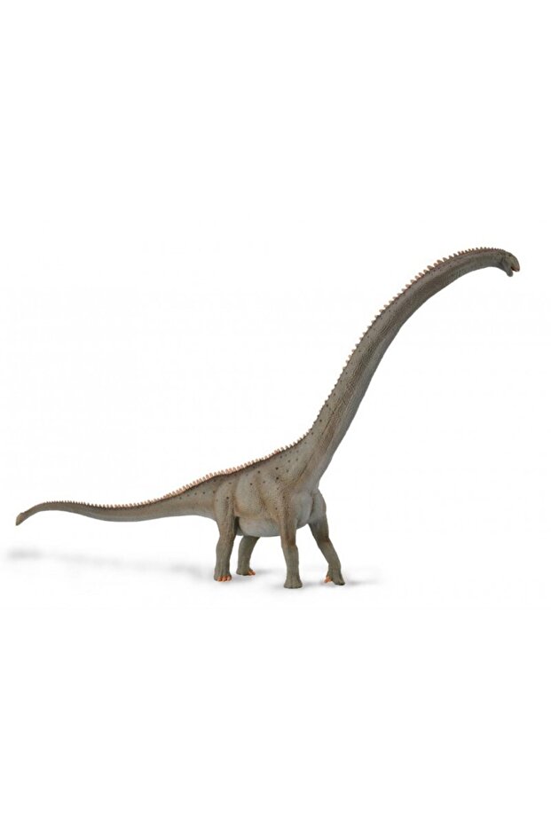 Mamenchısaurus 1:100 Deluxe - 1