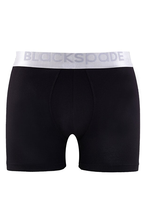 Silver Erkek Boxer - 3