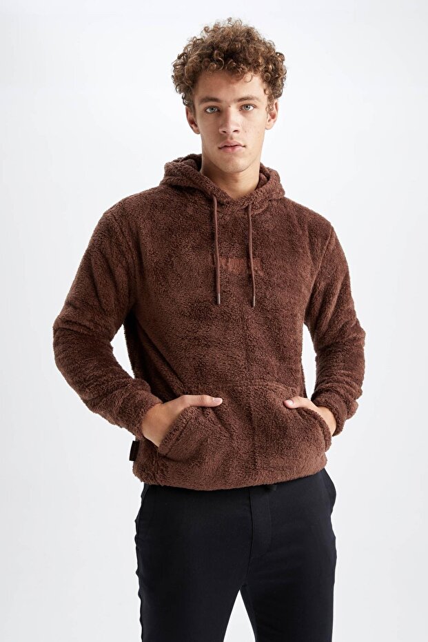 Regular Fit Kapüşonlu Pelüş Sweatshirt - 1