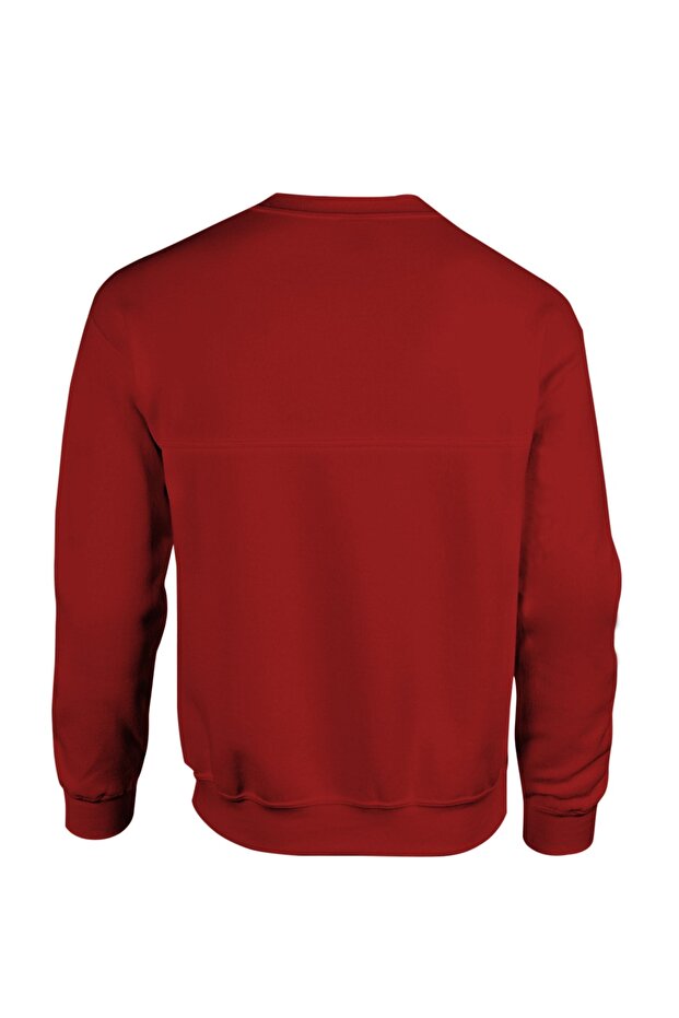 Lebron James Basic - 2