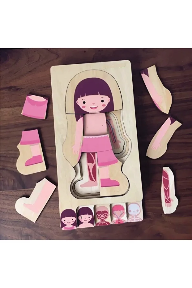 Waldorf Kız Insan Vücudu Iskelet Yapısı Ahşap Renkli Yapboz Puzzle - 3
