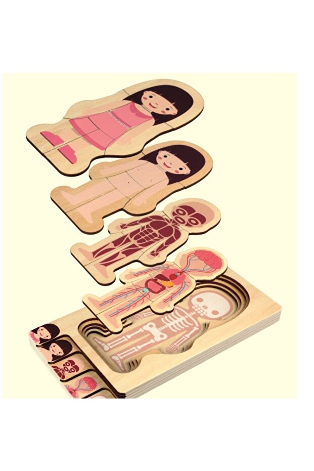 Waldorf Kız Insan Vücudu Iskelet Yapısı Ahşap Renkli Yapboz Puzzle - 1