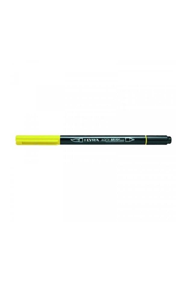 Aqua Brush Duo - 1