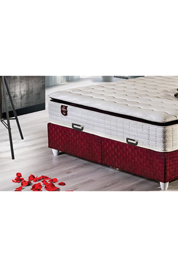 Plastic Base Handle and Bed Holder - 3