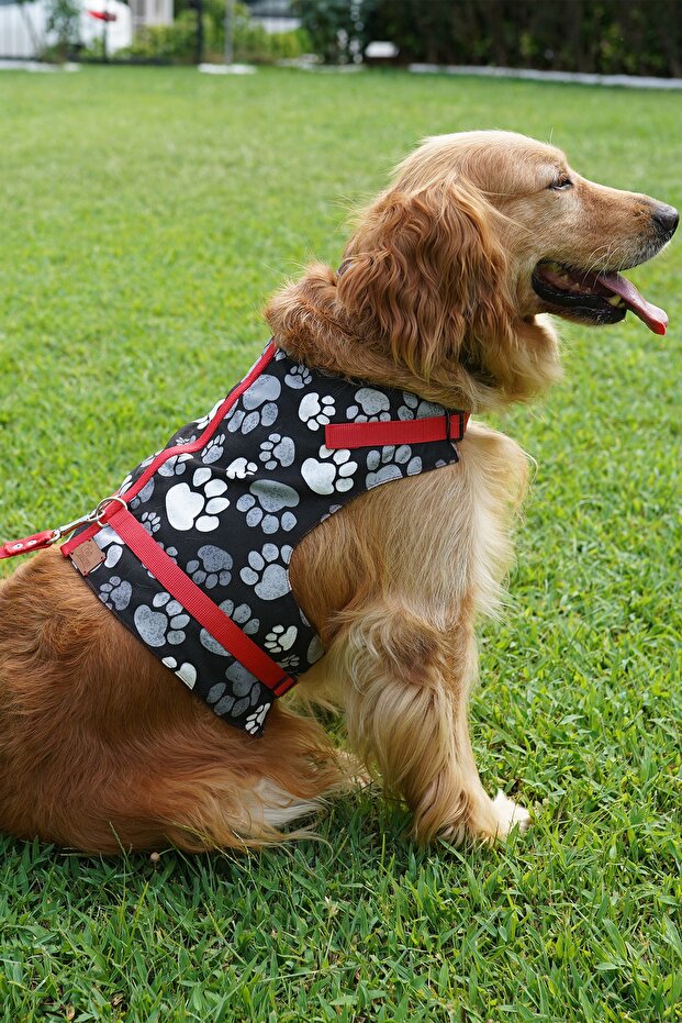 Patipatron Kaçış Önleyici Köpek Göğüs Tasma Seti Küçük Irk Ve Büyük Irk Köpek Gezdirme Tasması