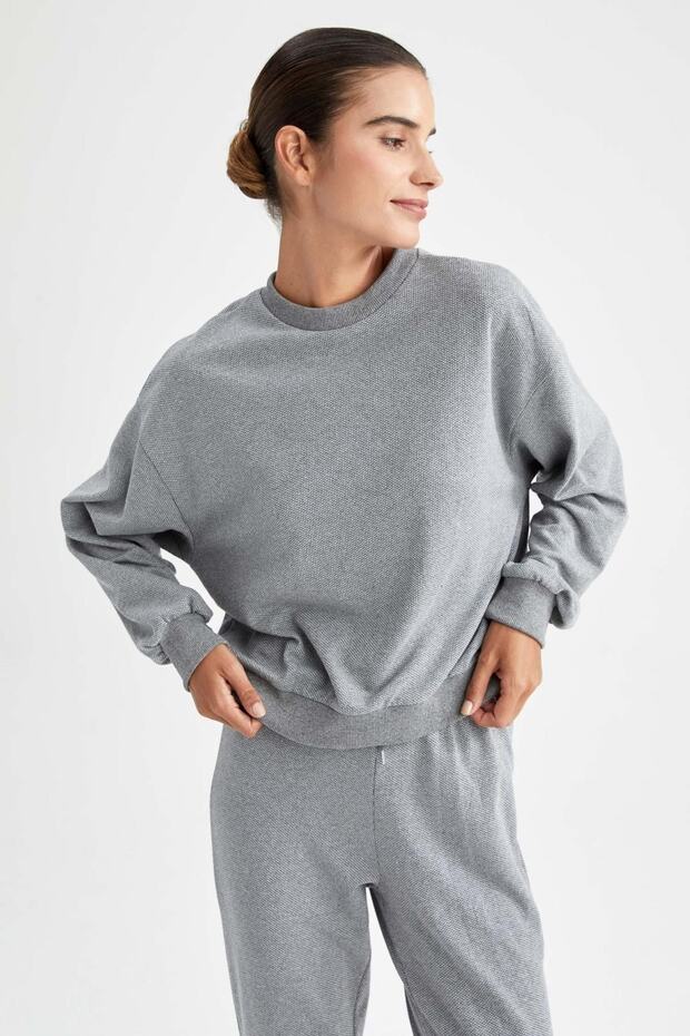 Regular Fit Sweatshirt - 1