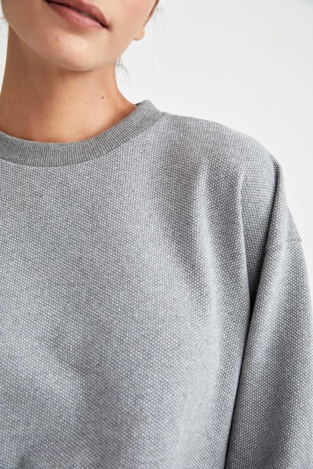 Regular Fit Sweatshirt - 5