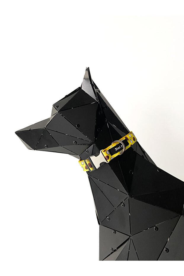 Tasma Seti Coconut Model - 5