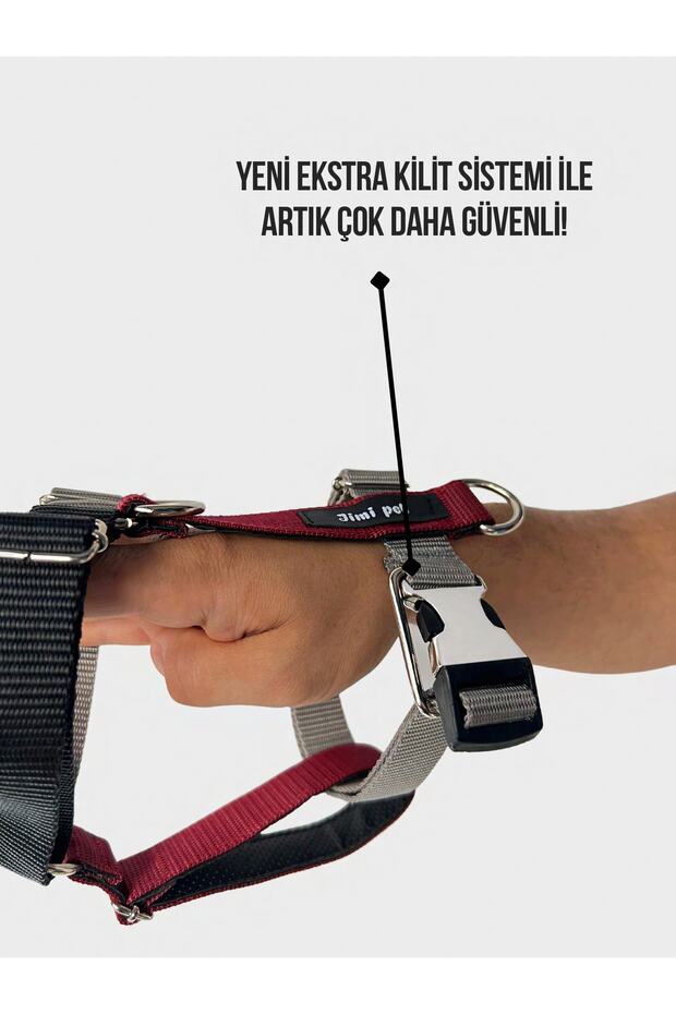 Tasma Seti Drago Model - 2