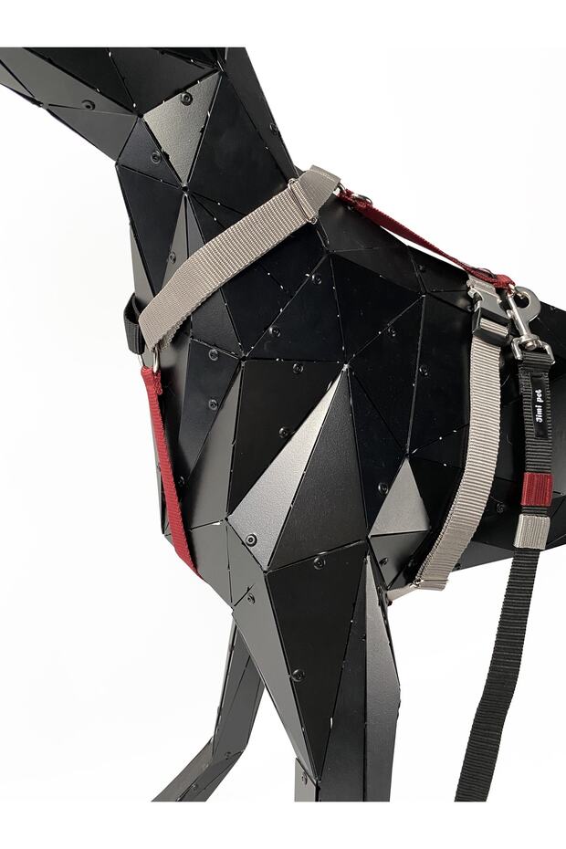 Tasma Seti Drago Model - 4