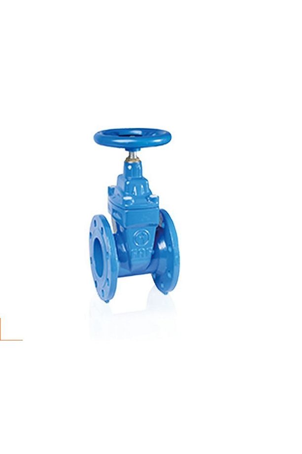 Sürgülü Vana Elastomer Baskılı Sfero Döküm F4 Dn50 2'' - 6