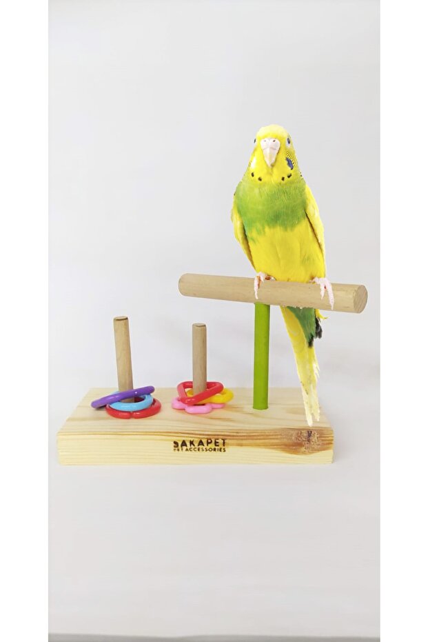 Bird with T Perches Intelligence Game