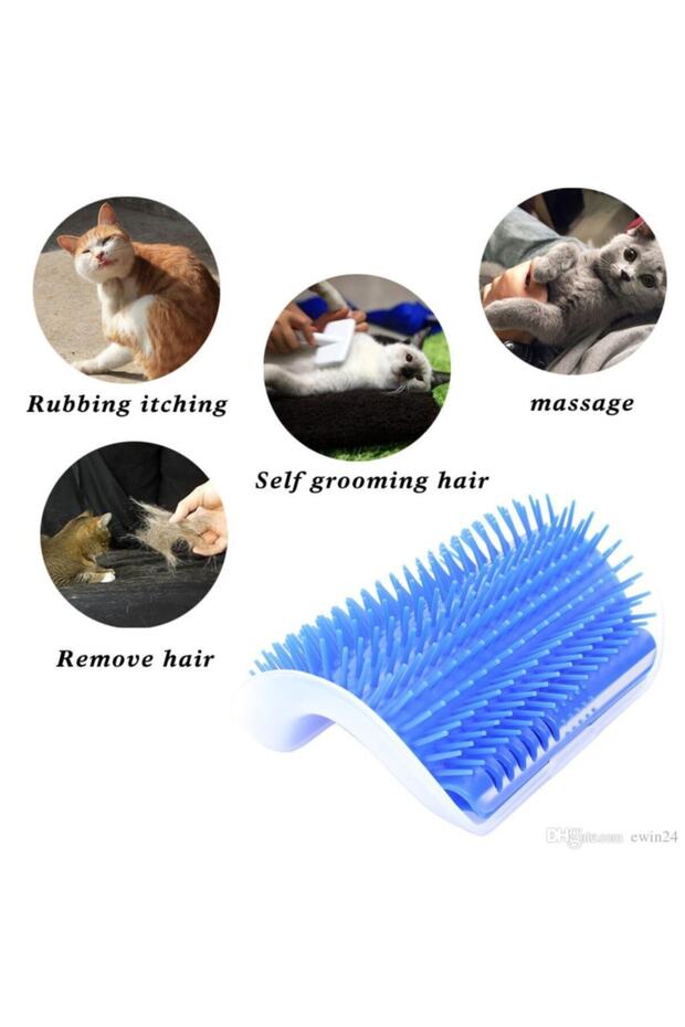 مشط القطط والاسترخاء - 4