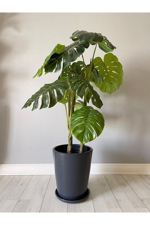 40litre Uzun Konik Saksı Tabaklı Yükseklik:40cm Çap:36cm Antrasit Renk - 1