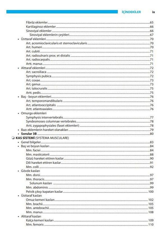 Insan Anatomisi 11. Baskı - 6