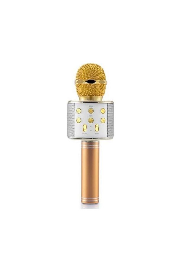 Ws-858 Karaoke Mikrofon - 1