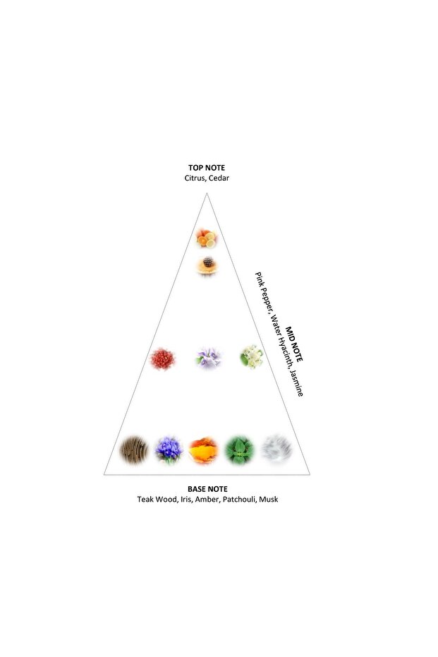 Rich De Luxe Kadın Parfüm Edp 50 Ml - 4