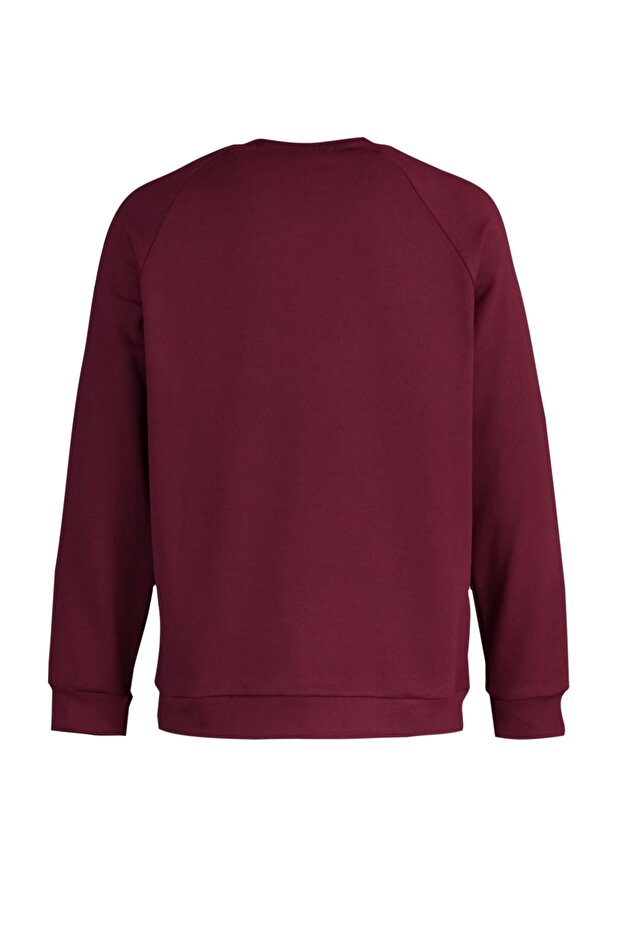 Bordo Regular/Normal Kesim İçi Polar/Sıcak Tutan Sweatshirt TMNAW23SW00189 - 8