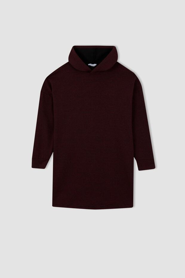 Regular Fit Hooded Long Sleeve Sweatshirt Tunic Z8255az22au