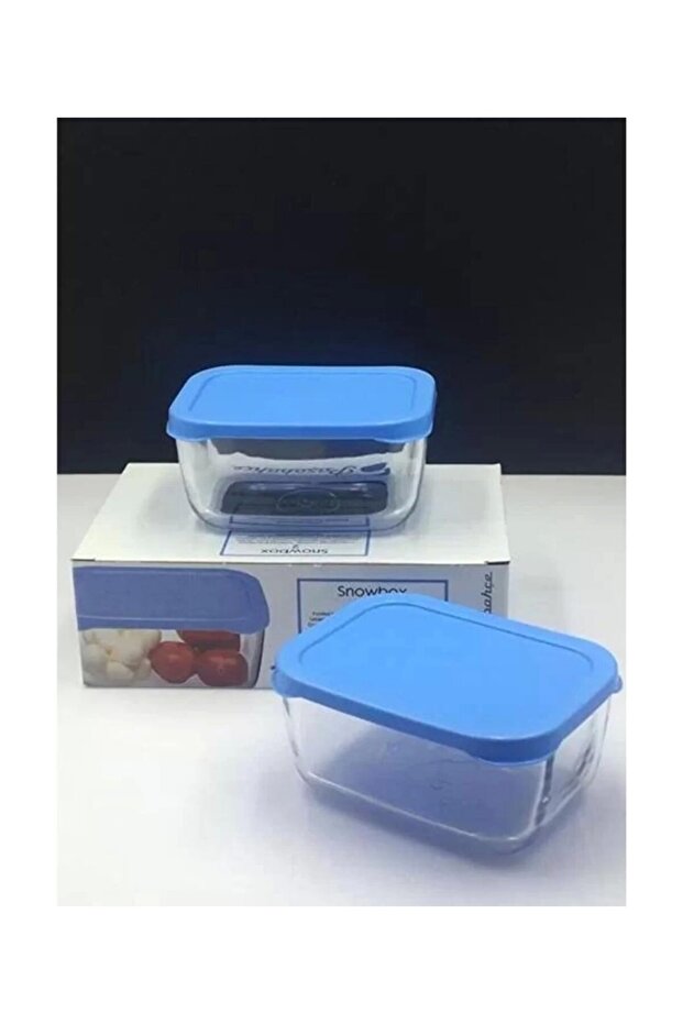 53733 Snow Box Storage Container with Lid 420 Cc 2 Liters