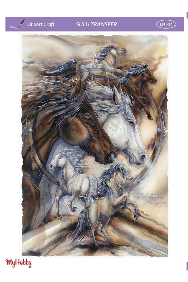 Lnt14 نقل الماء - 25x35 سم