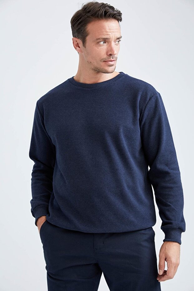 Regular Fit Sweatshirt - 1