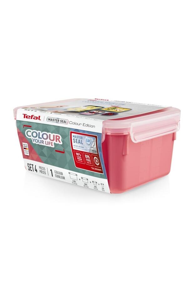 Masterseal Color 4'lü Set Pudra - 2