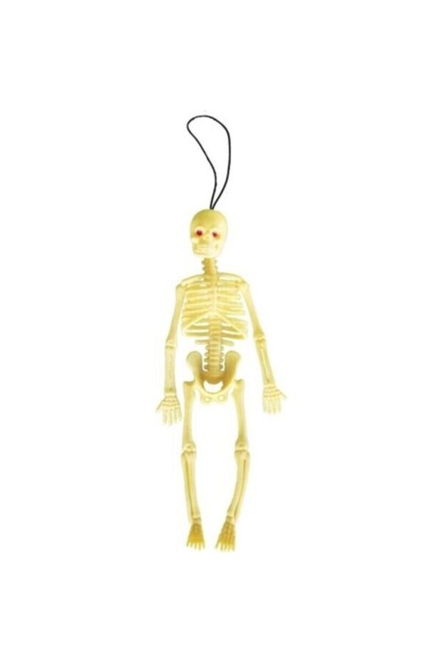 Plastic Human Skeleton Model Silicone Skeleton Experiment - 20 cm
