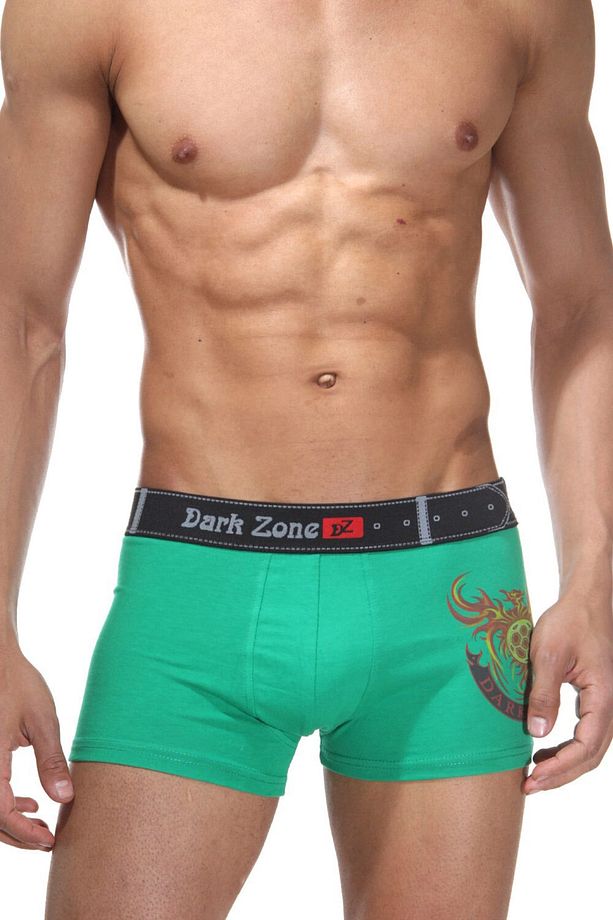 Erkek Ateş Desenli Yeşil Pamuklu Boxer - 1