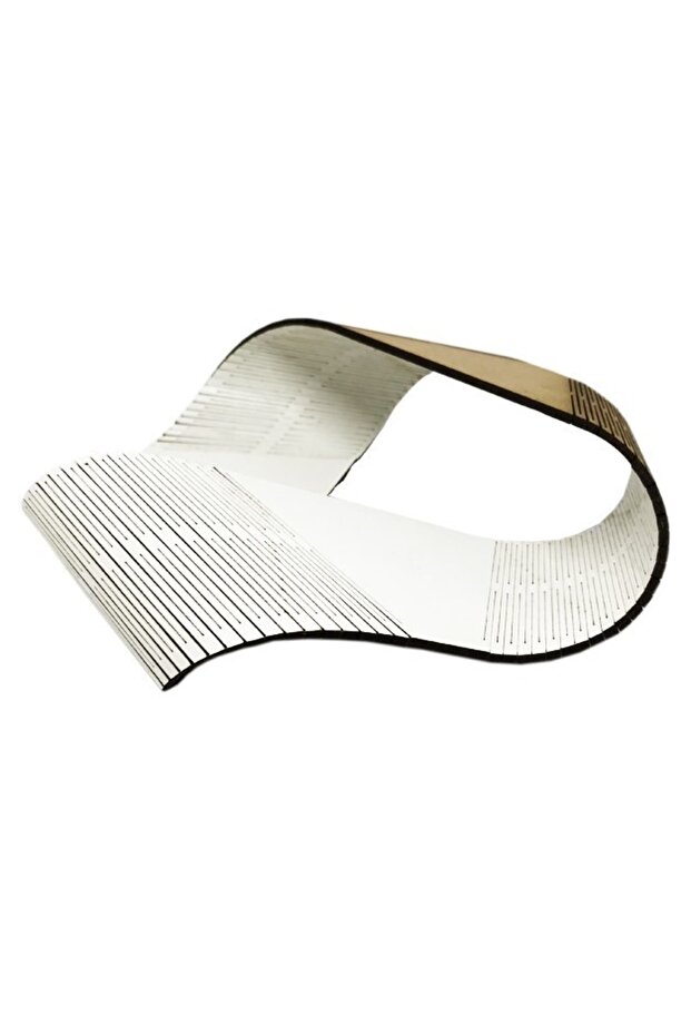 Stem: Möbius Strip - Mathematics Training Tool - 1