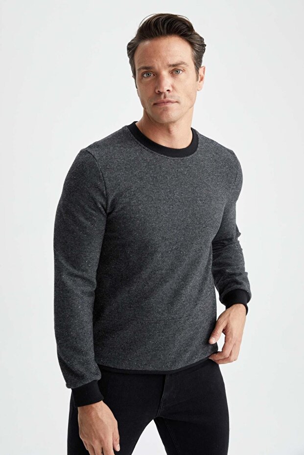 Regular Fit Sweatshirt - 1