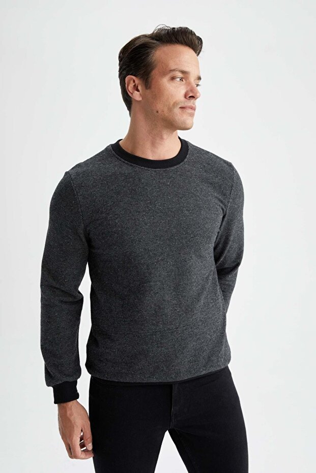 Regular Fit Sweatshirt - 4