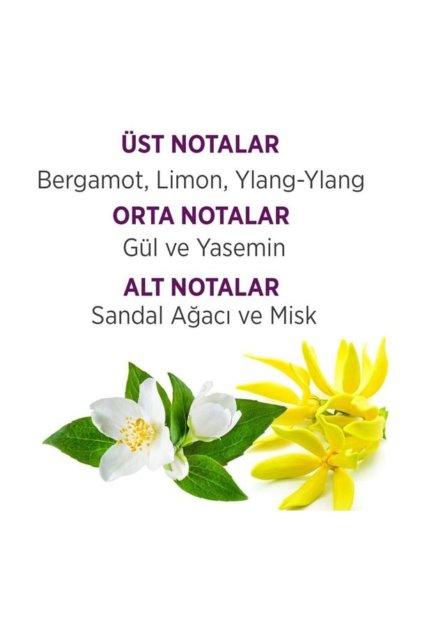Edt 60ml Kadın Parfüm + 150 ml Deodorant Set DST23LISSDST - 3