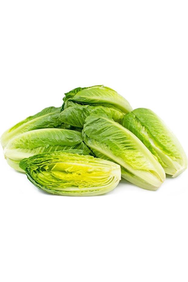 100 Adet Parris Island Romaine Marul Tohumu - 3