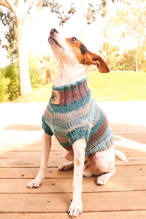 El Örmesi Renkli Köpek Kazak-kedi Kazak - 3