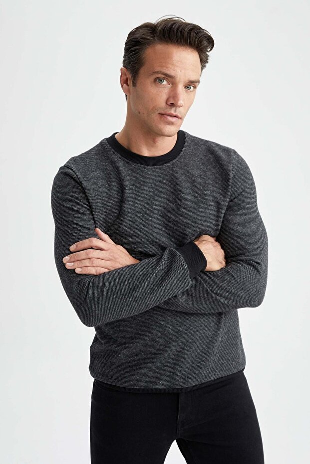 Regular Fit Sweatshirt - 3