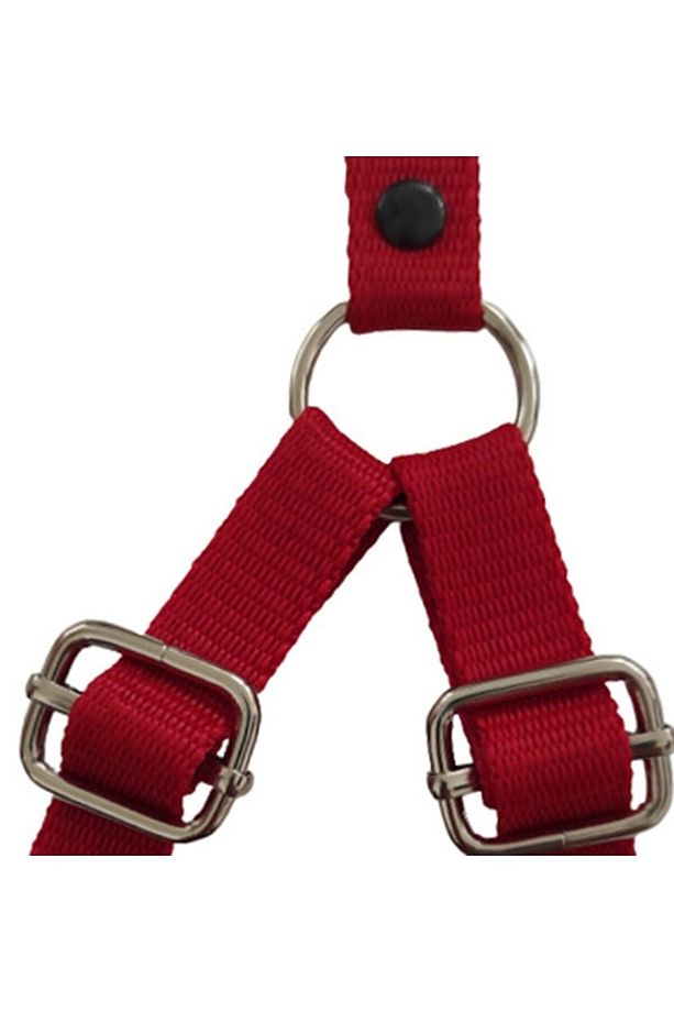 Köpek Göğüs Tasması Gezdirme Ipi Boyun Tasmsı Small Kırmızı Küçük Irklar Için 25-40 Cm - 4