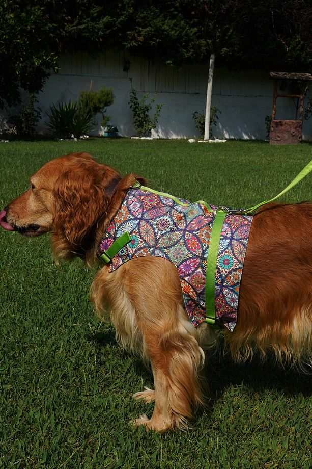 Kaçış Önleyici Köpek Göğüs Tasma Seti Küçük Irk Ve Büyük Irk Köpek Gezdirme Tasması - 2