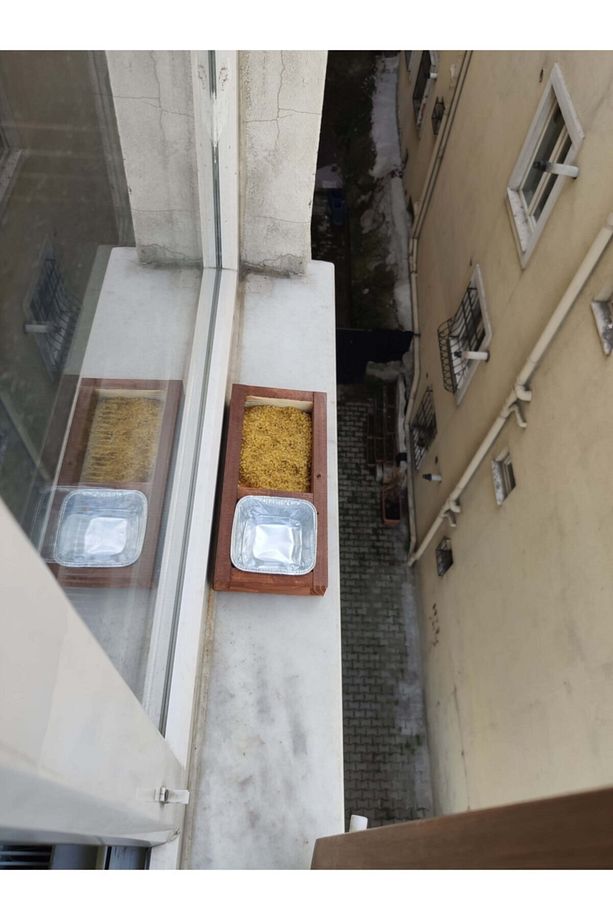 Pencere Önü Yapışkanlı Kuş Yemliği Ve Suluğu - 1