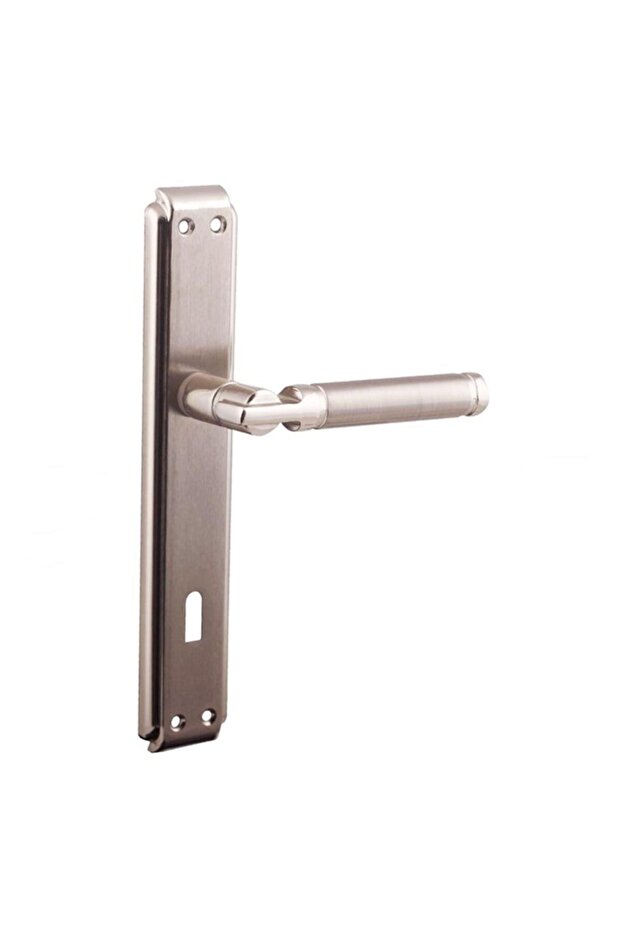 Hira Verda Rose Nickel Satin Door Handle Room