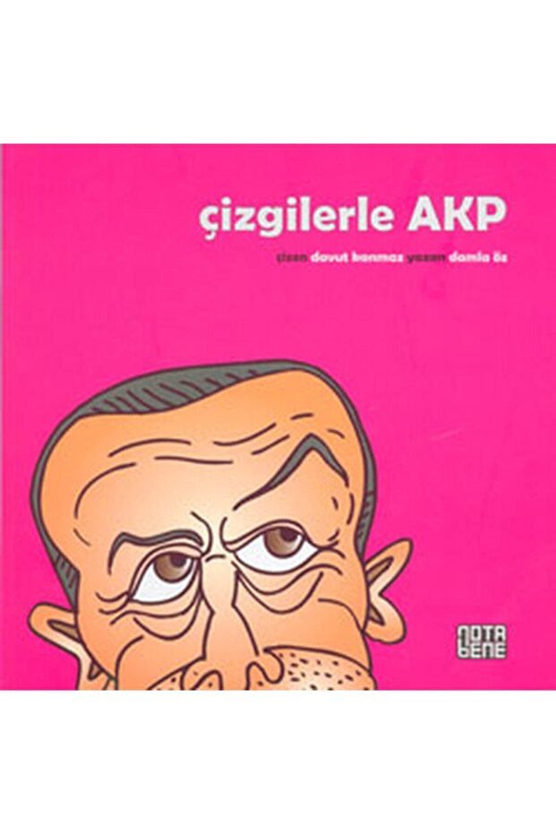 Çizgilerle AKP
