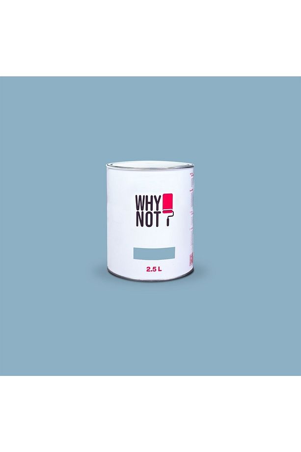 Whynot? Duvar Boyası Blue Gray - 2