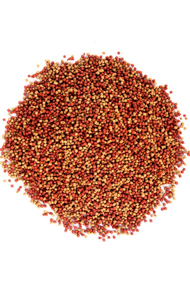 Japon Balığı Yem Ve Berraklaştırıcı Seti  Gold Mix 250gr Ve Red 100ml - 2
