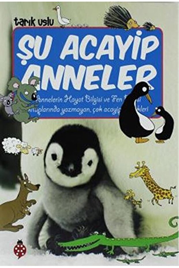 Şu Acayip Anneler / Tarık Uslu / / 9786059548656 - 1