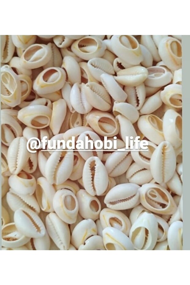 صدف محمص 100 جرام - 1