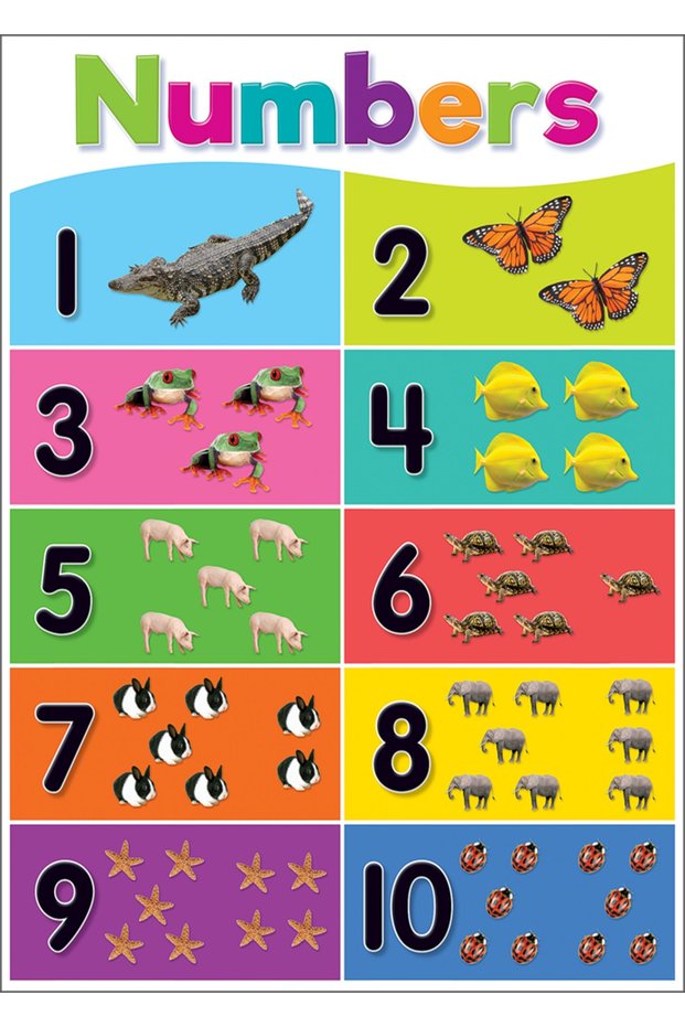 Numbers Board for Schools (25x35 Cm)