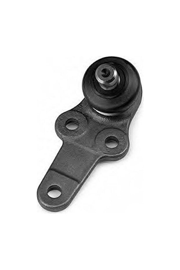 Focus Rotil 1998-2005 - 1