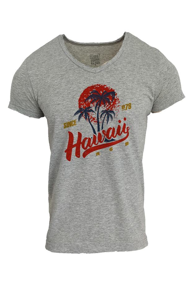 Unisex Hawaii Printed V-Neck Gray T-shirt