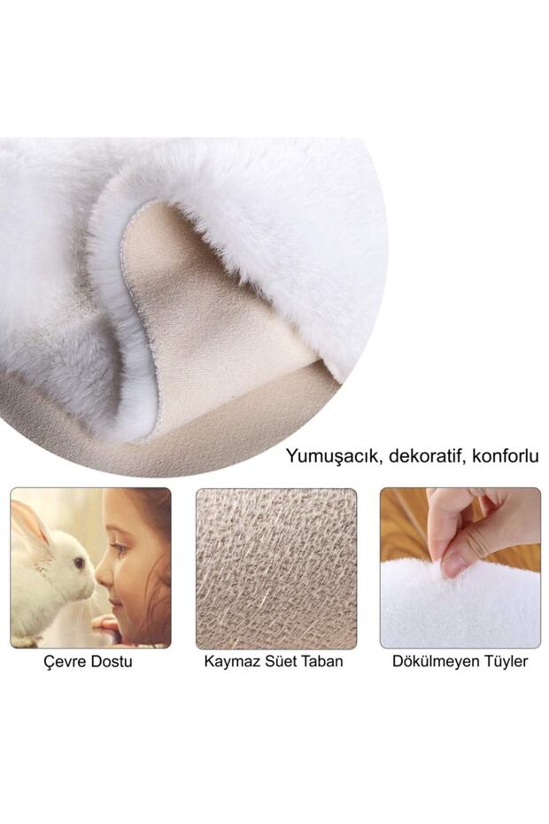 Rex Tavşanı Postu Beyaz - 6