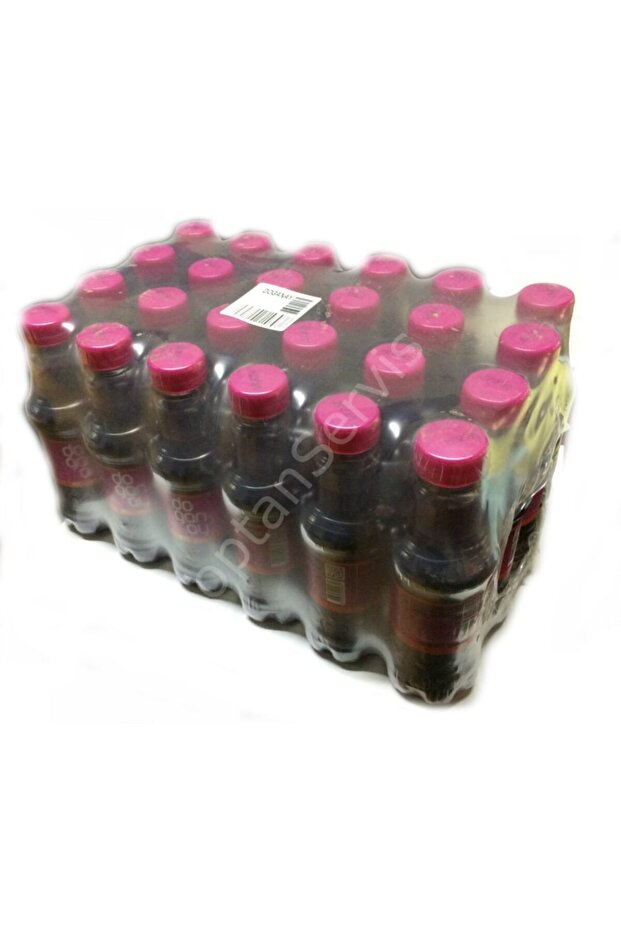 DOĞANAYŞalgam Suyu Acılı 300 ml 24 lü - 1